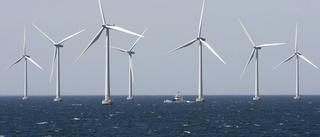Havsplaner för vindkraft gamla i förtid