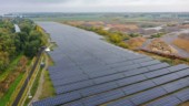 Ny solcellspark planeras i Linköping – kan bli störst i Sverige