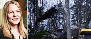 Uppsalaföretag lanserar AI-lösning – för skogsindustrin