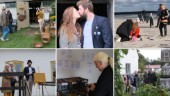MÅNGA BILDER: Kärlek och glädje på festivalen Fårönatta