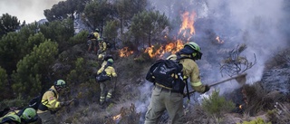 Spanien har tämjt monsterbranden i Málaga