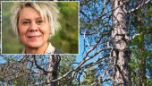 Naturskyddsföreningen kritisk mot Norrleden: "Dras genom 100-årig skogsdel"