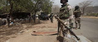 Över 30 döda i attack mot by i Nigeria