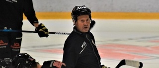 Revanschläge för Vimmerby Hockey mot serieledarna • Då kan nyförväret vara redo för debut