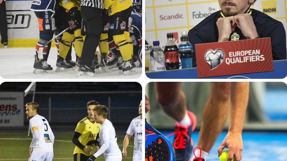 Här är några av de ämnen vi tog upp i sportduellen. Hockey med Vimmerby, EM-laget utan Zlatan, enkelserierna i fotboll och avsaknaden att just nu inte kunna spela padel.
