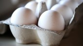 Ägg från östgötsk gård hade för höga halter PCB