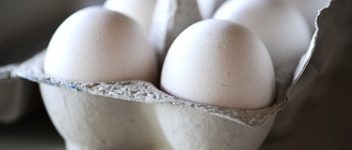 Ica återkallar ägg efter upptäckt av salmonella