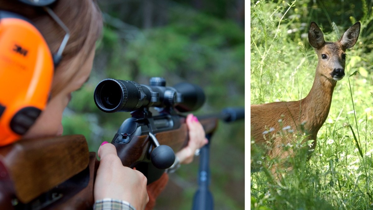 Jägareförbundet om nya jakttider "Fakta har segrat" Vimmerby Tidning