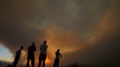Brandhärjat Cypern får hjälp av EU och Israel