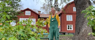 Planer för nytt kafé i Callanderskas trädgård – sommarmat och alkohol på menyn