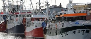 Nedslagna kustfiskare – många mister jobben