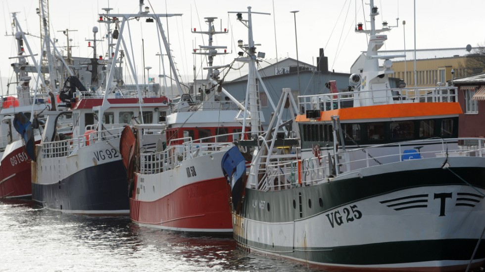 Oron är stor inom det småskaliga kustfisket sedan EU:s nya fiskekvoter är slutförhandlade. Arkivbild.