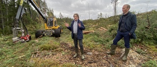 Nu fälls tusentals träd för att ge plats åt nya logistikparken på Arnö