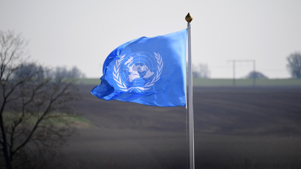 Vad gör FN nu undrar insändarskribenten.