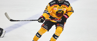 Luleå Hockeys jättetalang kan missa SM-slutspelet