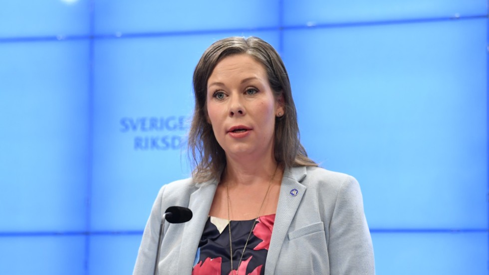Sverige behöver bli bättre på att ta till vara den arbetskraft som finns i landet. Skriver Maria Malmer Stenergard (M) Migrationspolitisk talesperson.
Naod Habtemichael ledarskribent svarar.