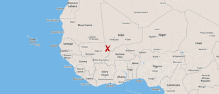 Många döda i nya strider i Mali