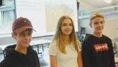 Ungdomarnas sommarjobb: Bedöma olika besöksmål i Vimmerby • Förbättringsområden pekas ut • "Vi ser en del brister"