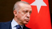Gott betyg att ses som persona non grata av Erdoğan