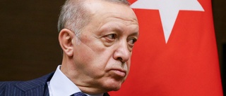 Gott betyg att ses som persona non grata av Erdoğan