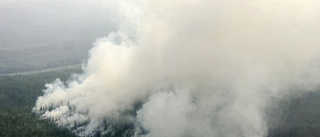 Kreml: Klimatförändringar bakom skogsbränder
