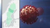 Västerbotten har näst störst smittspridning i landet – men Skellefteå ligger under snittet
