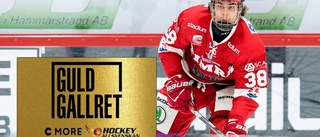 Hockeyspelaren från Boden vinner tungt pris