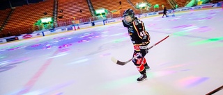 Bildspel: Luleå Hockey nollade SDE hemma