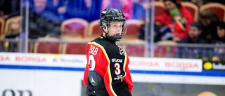 Luleå Hockeys ledarduo avslöjar drömvärvningarna
