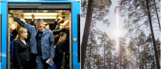 Flyttat från Stockholm till Norrbotten ■ "Jag har byggt mig en hydda i skogen"