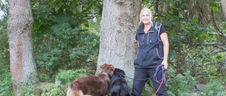 Hennes hundar räddar skogen från barkborren
