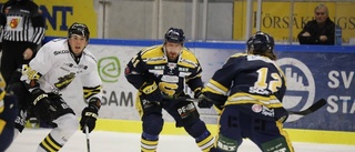 SHL-meriterad forward aktuell för Linden