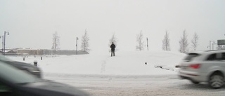 Magnus Tosser om snökaoset