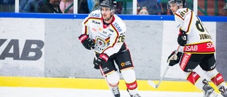 Betyg: Så skötte sig Luleå Hockeys nyförvärv