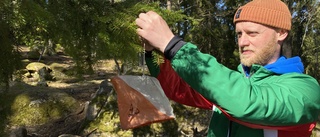 Populära utmaningen i Boxholmssskogarna är snart tillbaka: "Ha roligt och ge inte upp"
