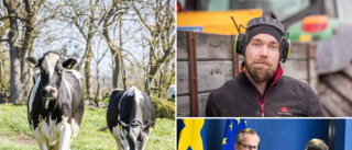 Nytt miljardstöd till lantbrukarna • LRF Gotland: ”Behövs för att kunna betala räkningarna”