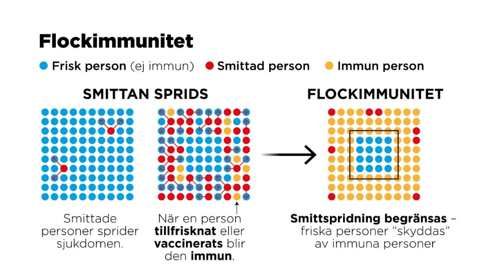 Flockimmunitet är ett epidemiologiskt begrepp om det fenomen som uppstår när en tillräckligt stor andel av befolkningen är immun mot ett visst smittämne.