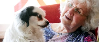 Birgit, 79: "Inget fel på hemtjänsten, men tidsjakten oacceptabel"