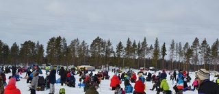 Vinnarna av Junonappet