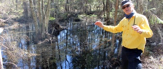 Satsningen gav resultat – nu är vattnet tillbaka i naturreservatet