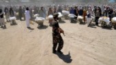 Talibanerna stänger människorättsinstans