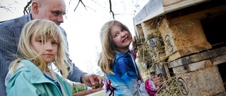 Barnens kulturdag — En lyckad satsning med pollinering som tema ”Jag älskar blommor”