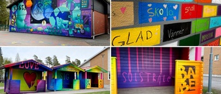 Konstnärlig förvandling ska öka tryggheten: "Varför ser inte alla skolor ut så här?"