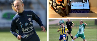 PODD: Förbundets hemsida sågas – Ny fotbollsakademi i Linköping? “Varningsklockor finns det gott om”
