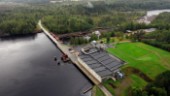 H2 Green Steel presenterar miljardavtal – med norsk kraftjätte • Affärschefen: "En viktig bit i vår portfölj"