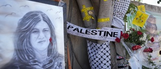 FN: Israelisk eld dödade journalist