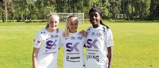 Nio raka segrar – stekhet seriefinal står för dörren