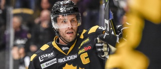 Petterström ryktas få en ny roll i SHL