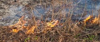 Skogsbranden i Rumskulla släckt