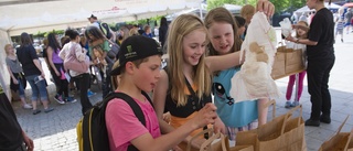 Klartecken för miljöfestival